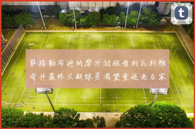 萨格勒布迪纳摩计划租借利瓦科维奇并最终买断球员渴望重返老东家