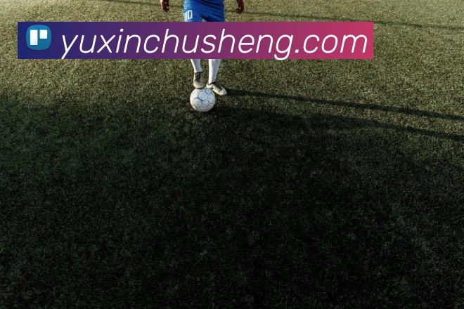 开云app在线体育官网APP 封面图
